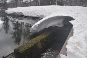 本日の天気　大沼（4/28)