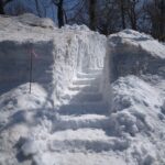 【作業報告】4月12日　ビジターセンター裏手、泥火山への道ができました！