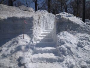 【作業報告】4月12日　ビジターセンター裏手、泥火山への道ができました！