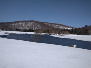 本日の天気　大沼（4/13)