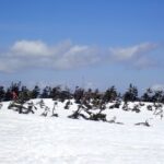 【残雪状況】4月23日　山頂から八幡沼周回