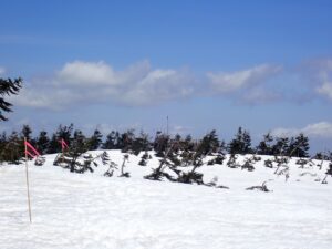 【残雪状況】4月23日　山頂から八幡沼周回