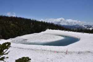 5/25　ゆっっくりした雪解けの歩み　　
