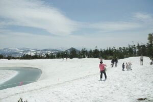 【自然情報】5月20日　八幡沼周回 、八幡平山頂