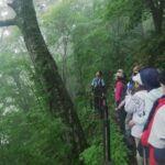 7月25日（土）「夏　湿原に集まるクマたちの痕跡を見る」を開催しました。