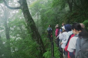 7月25日（土）「夏　湿原に集まるクマたちの痕跡を見る」を開催しました。