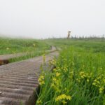 【自然情報】7月27日　八幡沼周回 、八幡平山頂