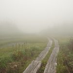 【自然情報】8月25日　八幡沼、八幡平山頂周回
