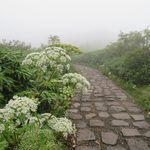 本日の天気　山頂周辺（8/27）