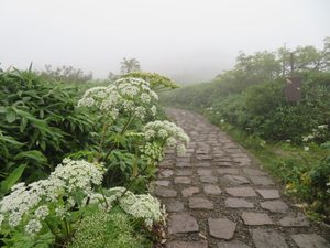本日の天気　山頂周辺（8/27）