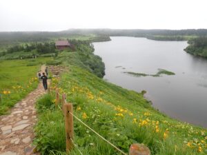 【自然情報】7月31日　八幡沼周回 、八幡平山頂