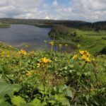 【自然情報】8月7日　八幡沼周回 、八幡平山頂