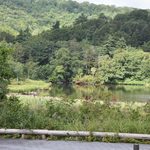 【自然情報】9月4日　大沼自然探勝路、ビジターセンター周辺