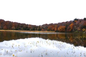 【自然情報】10月21日　大沼自然探勝路、ビジターセンター周辺